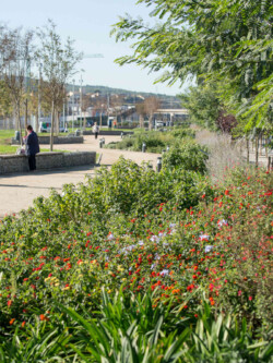 <a href="https://landscapearchitecturebuilt.com/eix-de-la-via">Eix de la via</a>, <br>Barcelona, Spain
