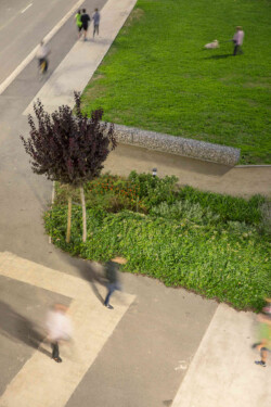 <a href="https://landscapearchitecturebuilt.com/eix-de-la-via">Eix de la via</a>, <br>Barcelona, Spain