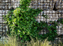 <a href="https://landscapearchitecturebuilt.com/garraf-landfill-restoration">Garraf Landfill Restoration</a>, <br>Barcelona, Spain