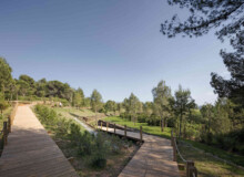 <a href="https://landscapearchitecturebuilt.com/forest-path-roques-blanques">Forest path in the Roques Blanques Cemetery</a>, <br>Barcelona, Spain