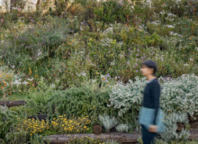 <a href="https://landscapearchitecturebuilt.com/forest-path-roques-blanques">Forest path in the Roques Blanques Cemetery</a>, <br>Barcelona, Spain
