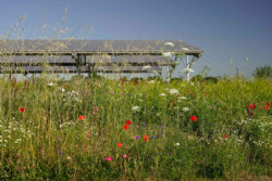 <a href="https://landscapearchitecturebuilt.com/toulouse-meett">Toulouse Exhibition and Convention Centre MEETT</a>, <br>Toulouse, France